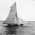 101-minerva
