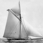 359-puritan